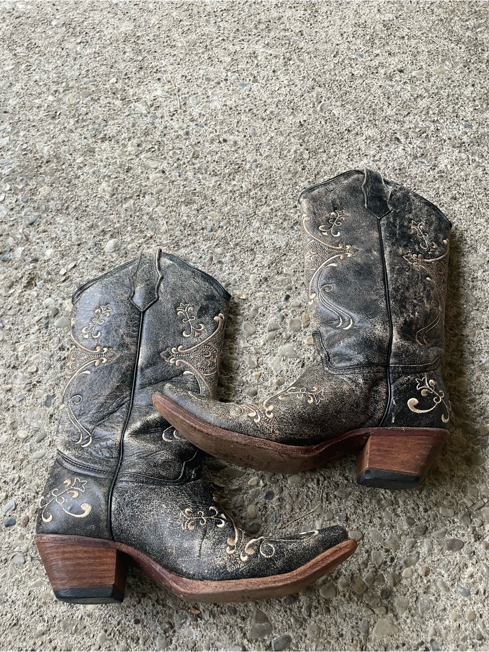 CIRCLE G Women Western Core Gray Embroidered Floral LeatherPull on Boots SZ 9 - Picture 1 of 16
